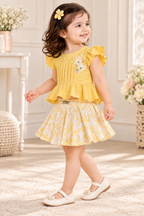 Top with Skirt Set