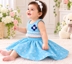 Top and Skirt Set